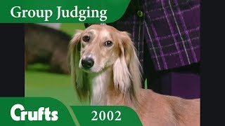 Saluki wins Hound Group Judging at Crufts 2002 [upl. by Stclair752]