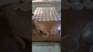 MUELLER HINTON AGAR [upl. by Inami]