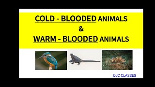 COLD  BLOODED ANIMALS amp WARM  BLOODED ANIMALS  POIKILOTHERMIC ANIMALS  HOMEOTHERMIC ANIMALS [upl. by Hedaza624]