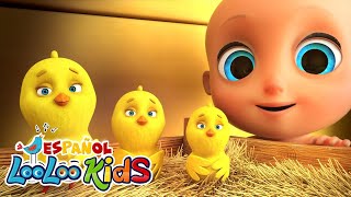 🐤🐥Los Pollitos Dicen Pio Pio y muchas más canciones infantiles  LooLoo Kids Español [upl. by Ulises44]