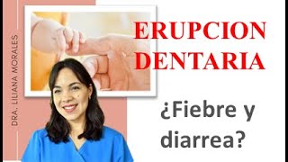 👍Todo lo que debes conocer de la erupción dentaria  proceso de dentición infantil [upl. by Nytsrik]