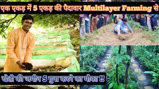 Multilayer Farming Model  एक एकड़ में 5 एकड़ की पैदावार  खेती की जमीन 5 गुना करे  Hello Kisaan [upl. by Rube]