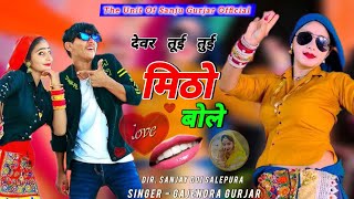 देवर तूई तुई मिठो बोले  Devar tui tui mitho bole  Singer Gajendra Gurjar Rasiya dj Song 2024 [upl. by Inele]