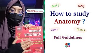 How To Study Anatomy  Booklist  Best Youtube Channels  Notes  Strategy  Prof Tips  Dr Med [upl. by Obelia59]