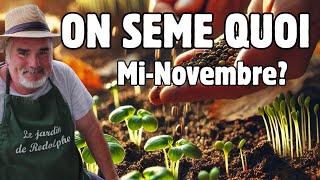 Les 10 meilleurs légumes à semer minovembre même par temps froid [upl. by Harneen]