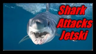 Shark attacks jetski caught on Gopro [upl. by Cullie159]