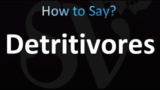 How to Pronounce Detritivores correctly [upl. by Bergeman]