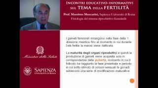 Fisiologia del sistema riproduttivo femminile [upl. by Ttebroc]