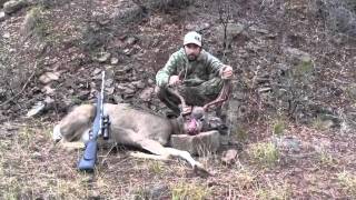 Mule Deer shotbest ever vid 2 [upl. by Ynohtnanhoj]