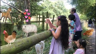 We fed all the animals at Mudchute farm [upl. by Elroy]