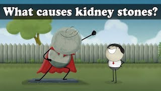 What causes kidney stones  aumsum kids science education children [upl. by Anigger532]