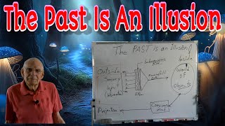 161 A Powerful Fact You Need To Know The Past Is An Illusion [upl. by Tterab437]