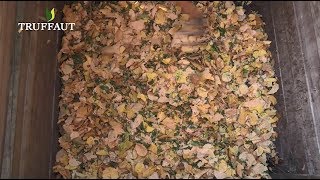 Faire du terreau de feuilles mortes  le compostage 22  Truffaut [upl. by Queenie214]