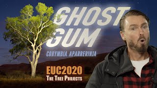 EUC2020  The Ghost Gum [upl. by Porcia]