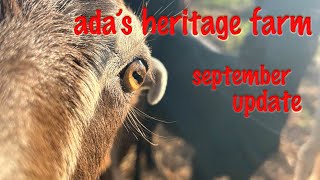 Adas Heritage Farm  September 2024 Update [upl. by Alehc]