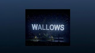 Wallows playlist [upl. by Cecile411]