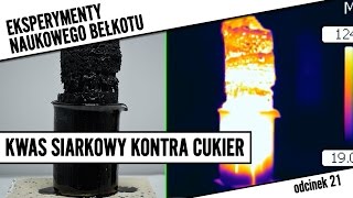 Kwas siarkowy kontra cukier TERMOWIZJA  Eksperymenty NB 21 [upl. by Colp]