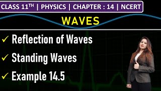 Class 11th Physics  Reflection of Waves  Standing Waves  Example 145  Chapter 14 Waves  NCERT [upl. by Akissej]