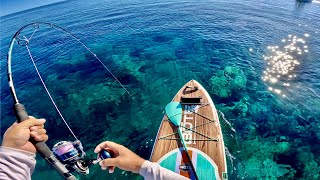 CRAZY FISHING on PADDLE BOARD [upl. by Apollus]