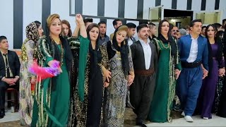 best Kurdish wedding 2023  best kurdish dance 2023 [upl. by Thenna947]