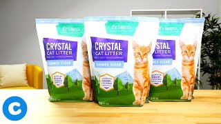 Frisco Crystal Litter  Chewy [upl. by Thomey]