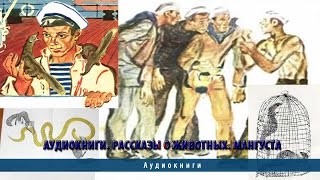 Аудиокниги Рассказы о животных Мангуста [upl. by Wein]