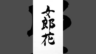 【女郎花おみなえし】書道 漢字 美文字 shorts shodo calligraphy [upl. by Yeniar682]