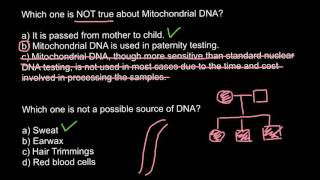 mtDNA and nucleus DNA as forensic evidence [upl. by Nnyleak306]