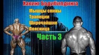 Как накачать мышцы спины Лучшие упражнения Техника Часть 3 Хакинг Бодибилдинга [upl. by Tennies]