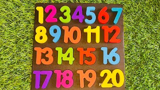 Numbers Activity  Learn Counting Numbers 120 Preschool Toddler [upl. by Nnaylrebmik558]