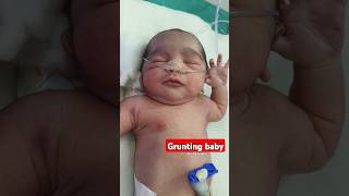 Grunting baby girl breathlessness grunt newborn nicu [upl. by Eenat]