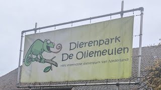 Dierenpark De Oliemeulen21102024 [upl. by Idnyl717]