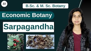 Economic Botany  Medicinal Plants  Sarpagandha  Rauvolfia serpentina  B Sc amp M Sc [upl. by Niwdog]