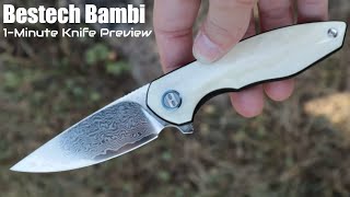 Bestech Bambi Knife  1Minute Preview  Atlantic Knife [upl. by Aguie932]