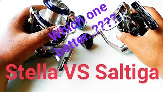 Daiwa Saltiga VS Shimano Stella [upl. by Llehcal]