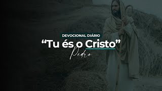 Devocional Diário  O CRISTO  Jéssica Leles [upl. by Nollad]