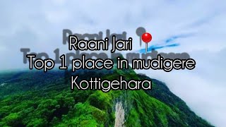 Top 1 Place in mudigere  Raani jari📍kottigehara ಚಿಕ್ಕಮಗಳೂರು viralvideo travel youtube nature [upl. by Oniram]