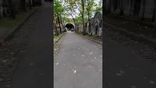 ASMR walk in Graveyard  Headstone Crow cry Cimetière de Montmartre Montmartre Cemetery S6127✝️ [upl. by Lisetta]