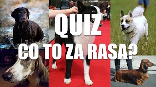 Quiz Rasy Psów Myśliwskich [upl. by Einittirb44]