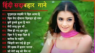 Hindi Gana🌹Sadabahar Song 💖हिंदी गाने 💔Purane Gane Mp3 💕Filmi Gaane अल्का याग्निक कुमार सानू गीत [upl. by Kokoruda]