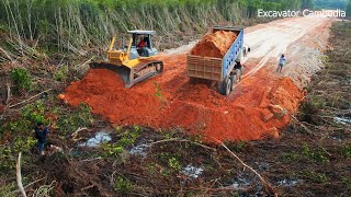 Part 7 Excellent Bulldozer Continuing The Job Construction Plantation Road  Dump Truck Pouring Soil [upl. by Brooking318]