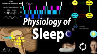 EXPLAIN THE CAUSES AND PATHOPHYSIOLOGY OF SLEEP APNEA [upl. by Daisy]