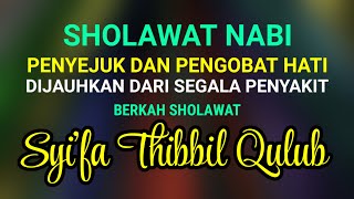 Sholawat Syifa Pengobat Hati THIBBIL QULUB Sholawat Nabi Muhammad Saw Berkah [upl. by Ttehc740]