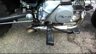 pot double sous moteur sur Trex 125 skyteam [upl. by Sanjiv]