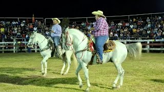 sierre d feria aya en Villa Madero guerrerotierra caliente mexico [upl. by Artemis51]