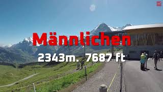 멘리헨트래킹 Männlichen to KlScheidegg Panorama Hiking  Royal Walk  Grindelwald Terminal [upl. by Ecnarwal650]