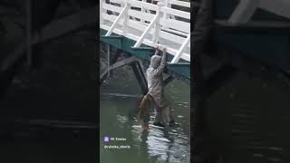 Что вообще происходит 😂 fishing carp рыбалка carpfishing карп рыбалка2024 carps рек fish [upl. by Anilev]