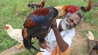 SEVAL BIRYANI Prepared by my daddy Arumugam  Village food factory [upl. by Eimaj]