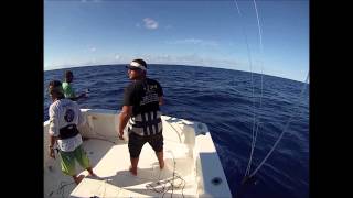 FF PESCA MARLIN AZUL amp BRANCO [upl. by Kcid972]