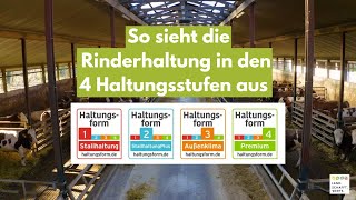 Rinderhaltung  So sehen die 4 Haltungsformen aus [upl. by Thibaud]